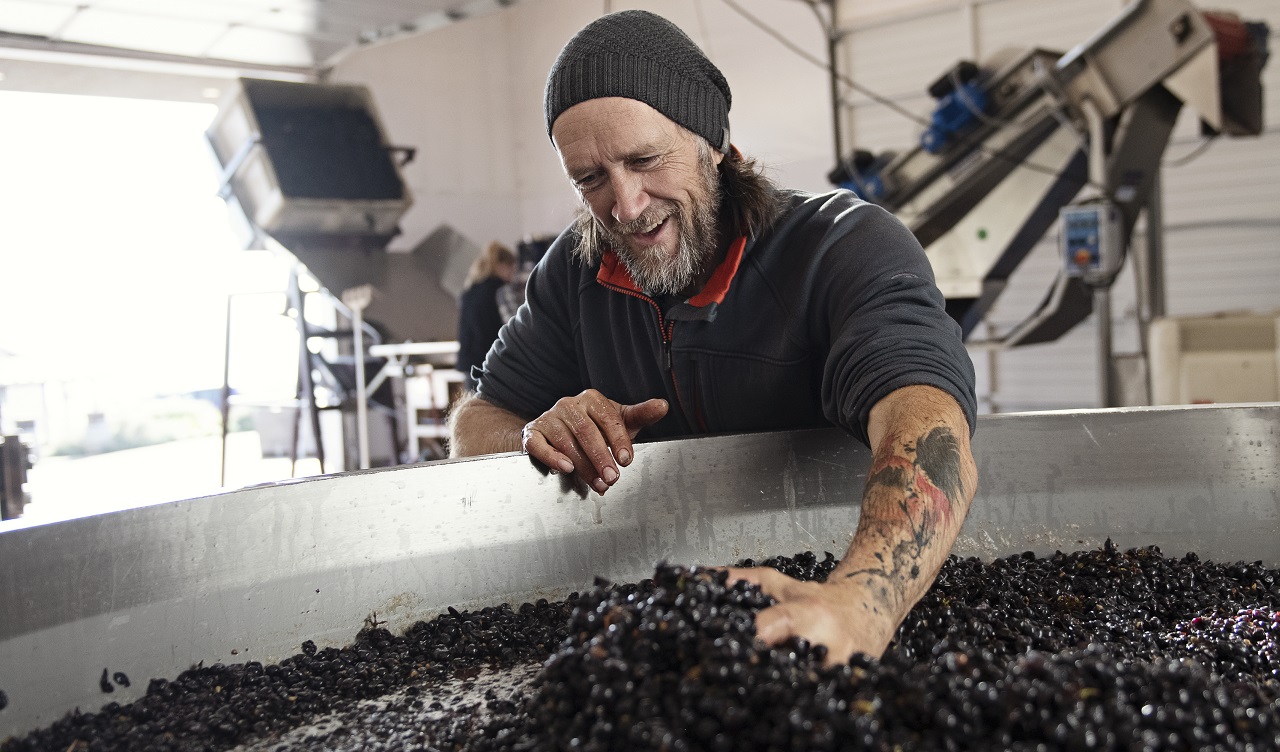 WWC21 Brooks Estate Vineyard, Oregon